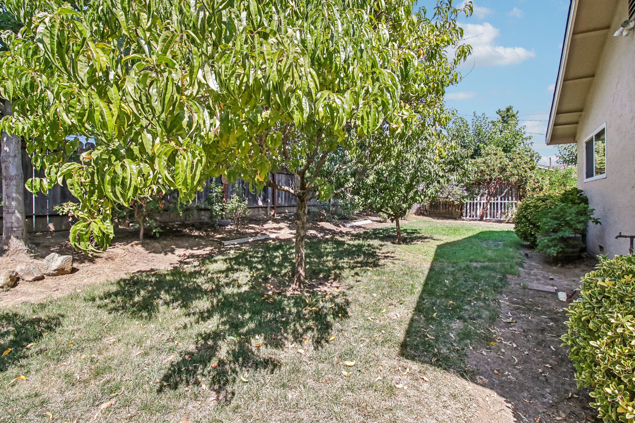 Las Animas Ct-S1108-042.jpg