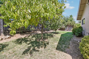 Las Animas Ct-S1108-042.jpg