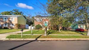  Photo 48