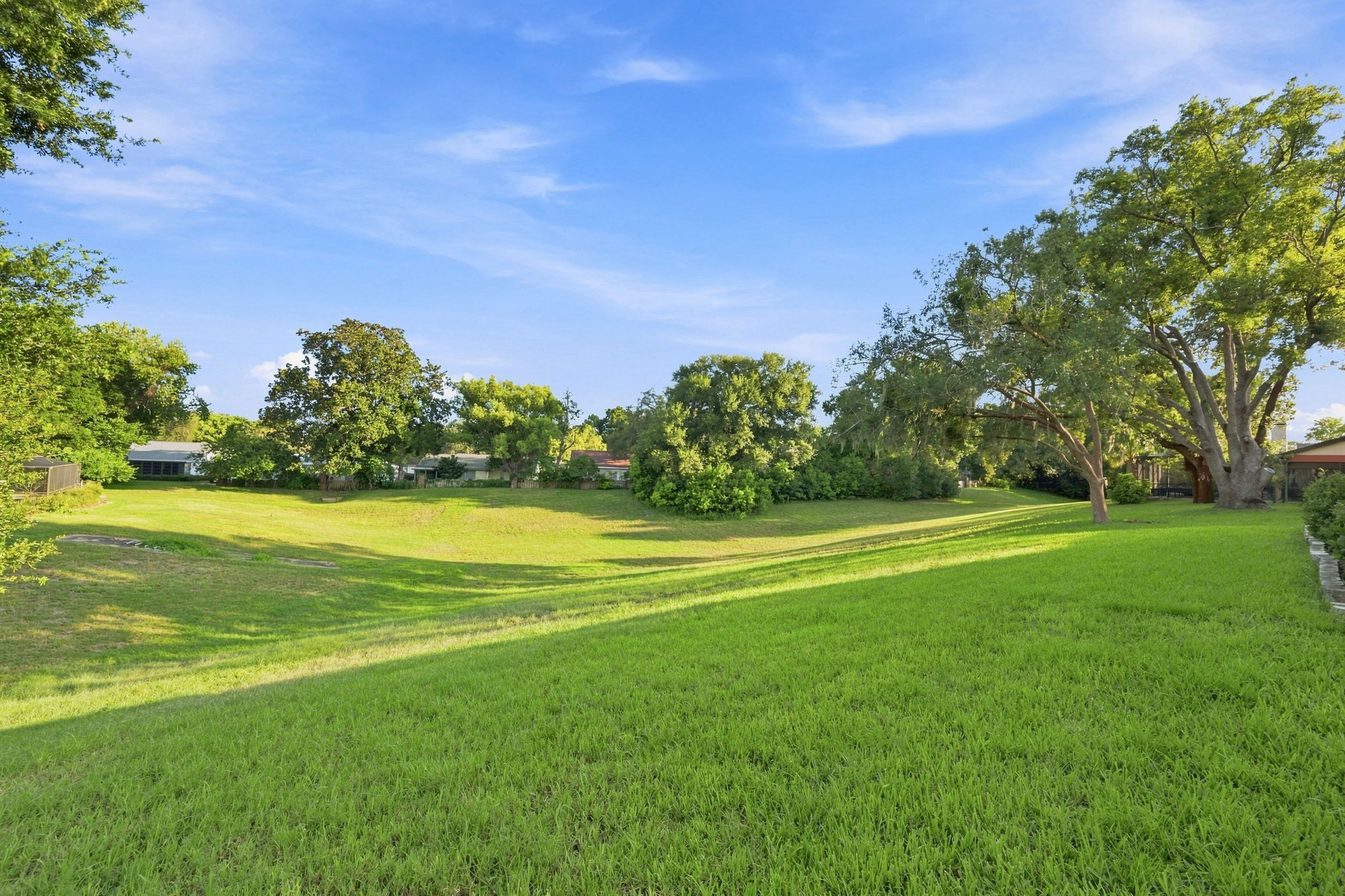 Backyard1