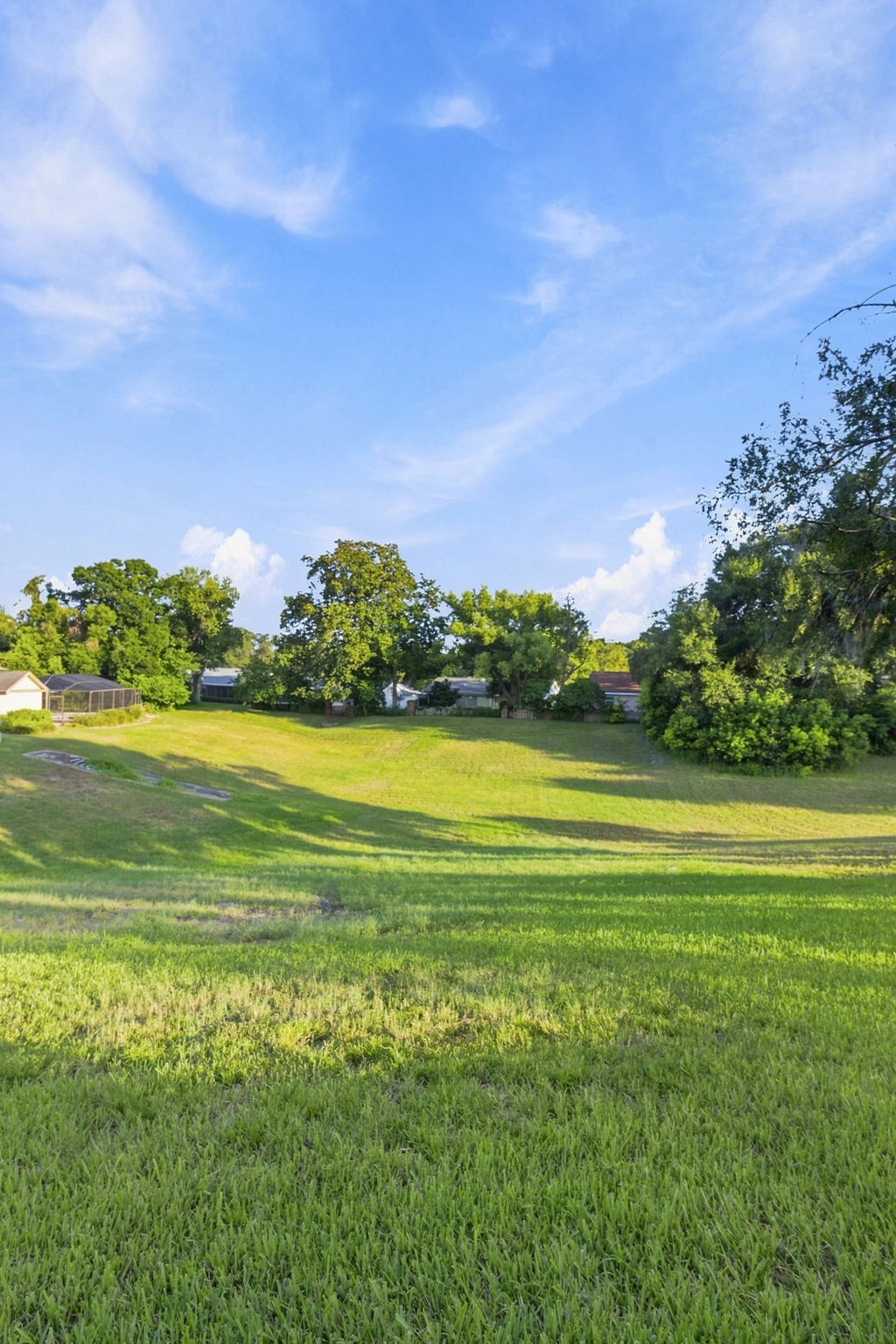 Backyard2