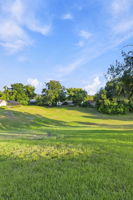 Backyard2