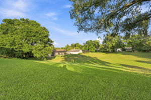 Backyard3