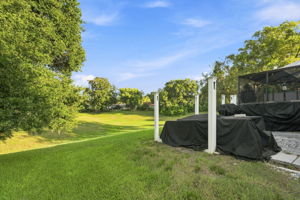 Backyard7