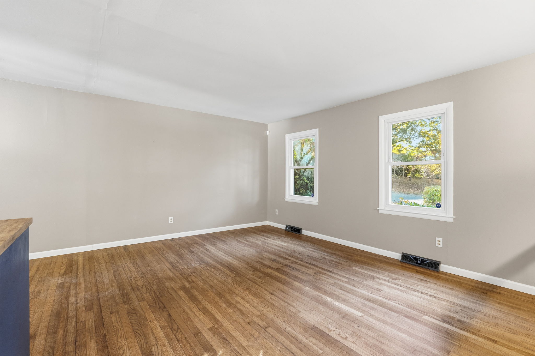 Living Room (Main Level)