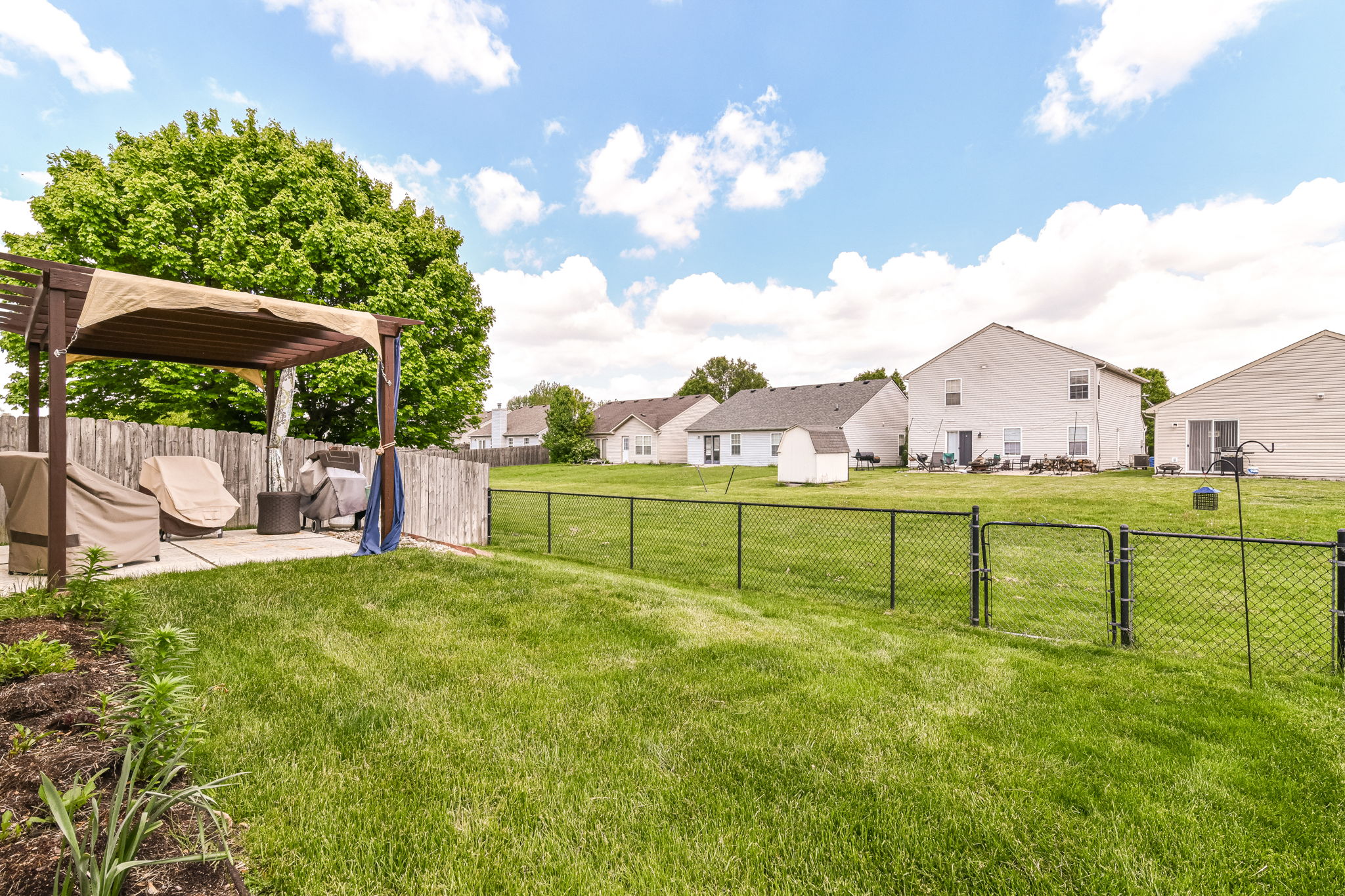Backyard