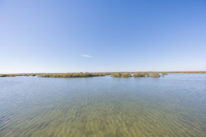 Waterfront