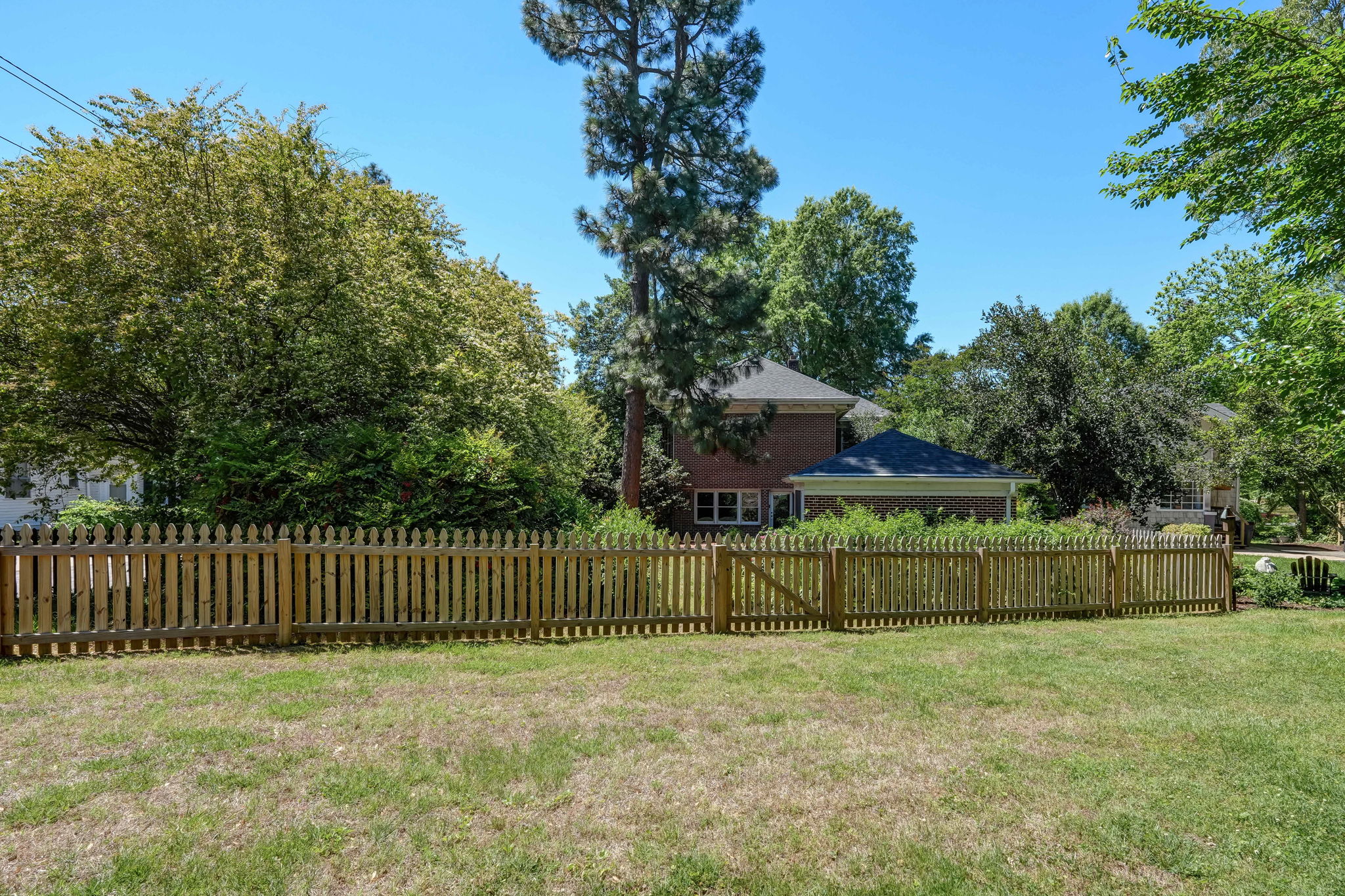Back Yard