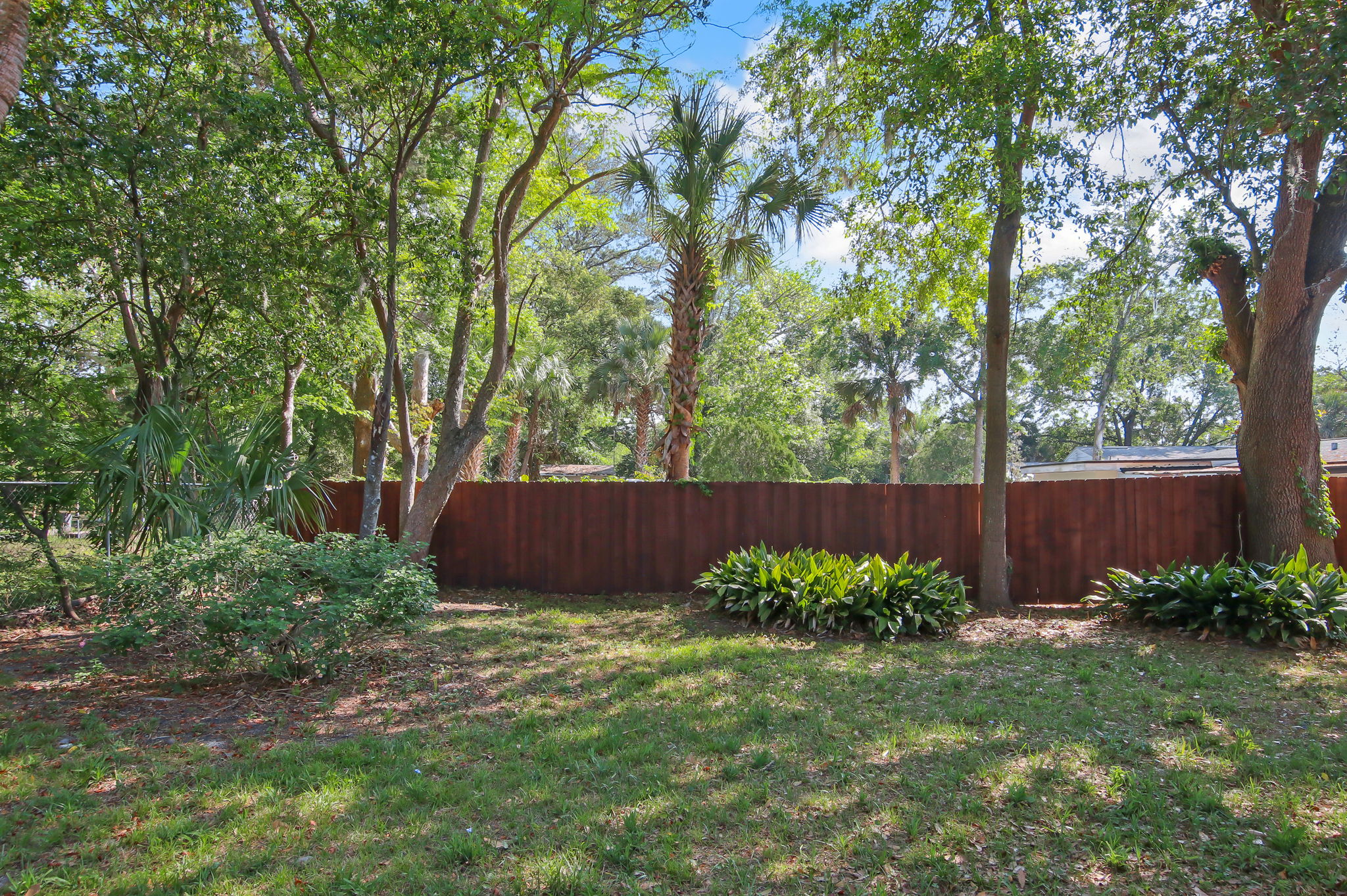 Back Yard