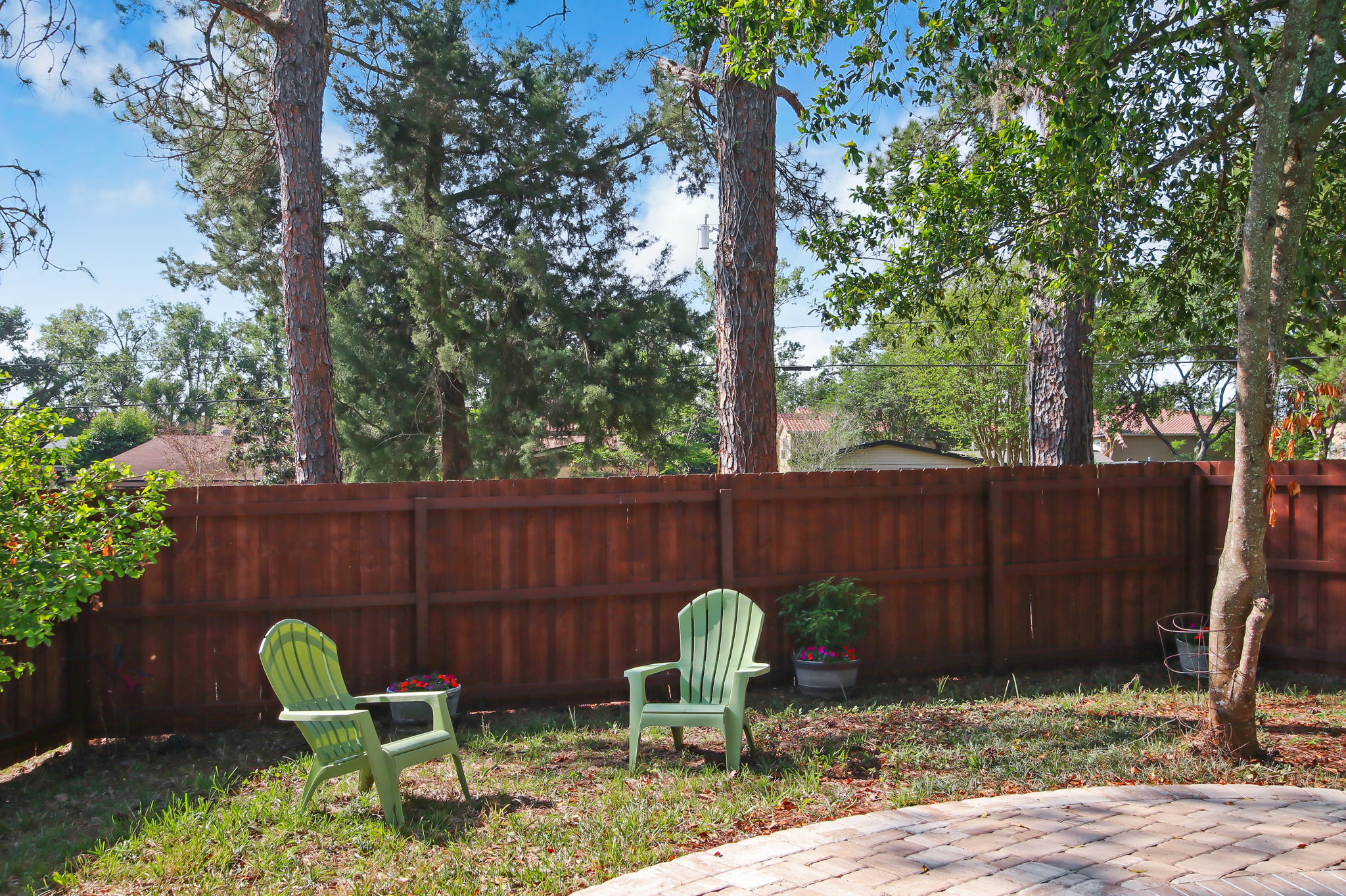 Back Yard