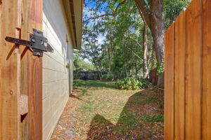 To Back Yard