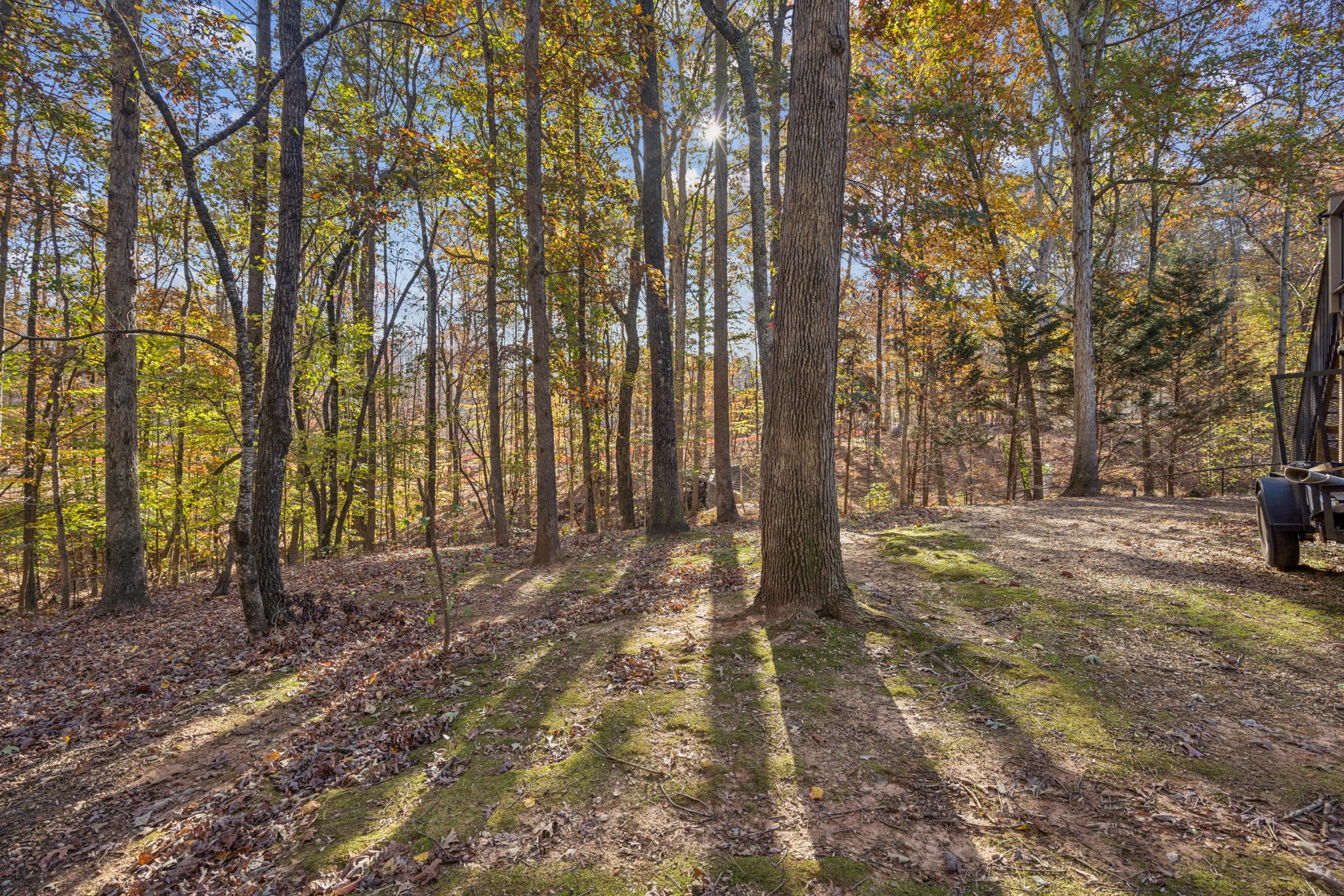 Local_Flavor_films- 8160 Willow Point, Gainesville, GA 30506-321.jpg