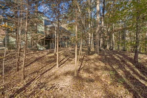 Local_Flavor_films- 8160 Willow Point, Gainesville, GA 30506-311.jpg