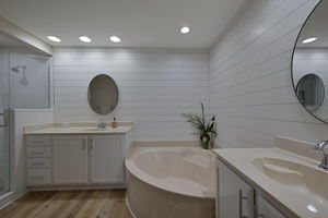 masterbath view 1