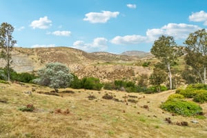 Mission Vista Dr-S0105-045.jpg