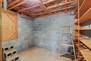  Photo 49