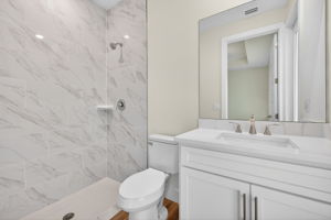 Guest Bathroom 1