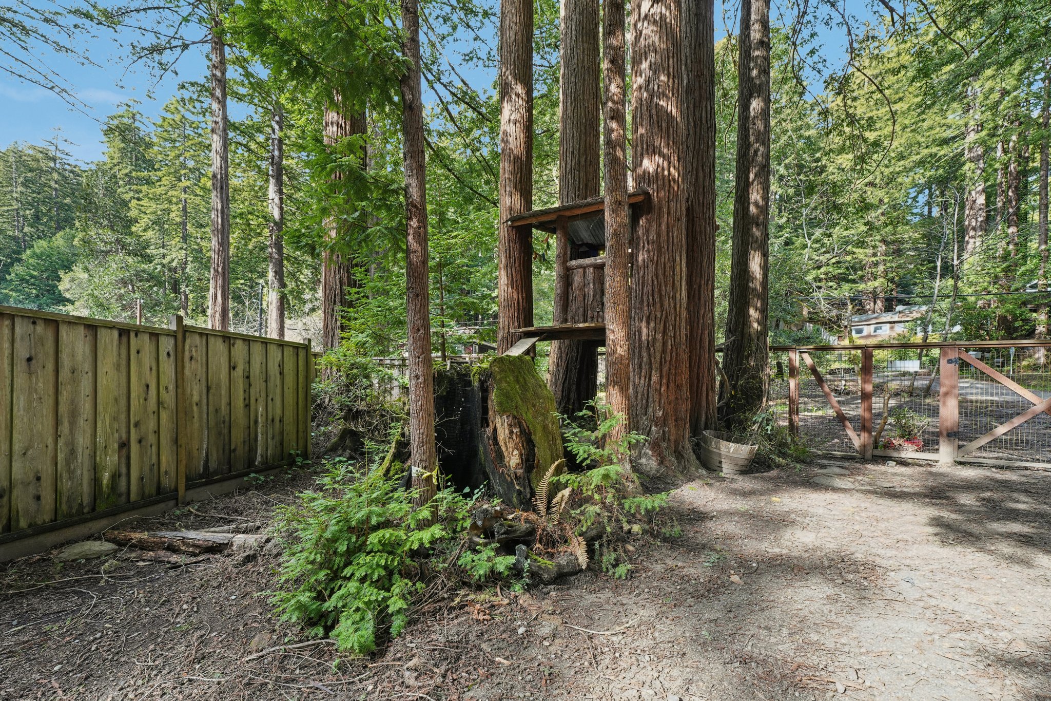 Pescadero Creek Rd-S0202-006.jpg