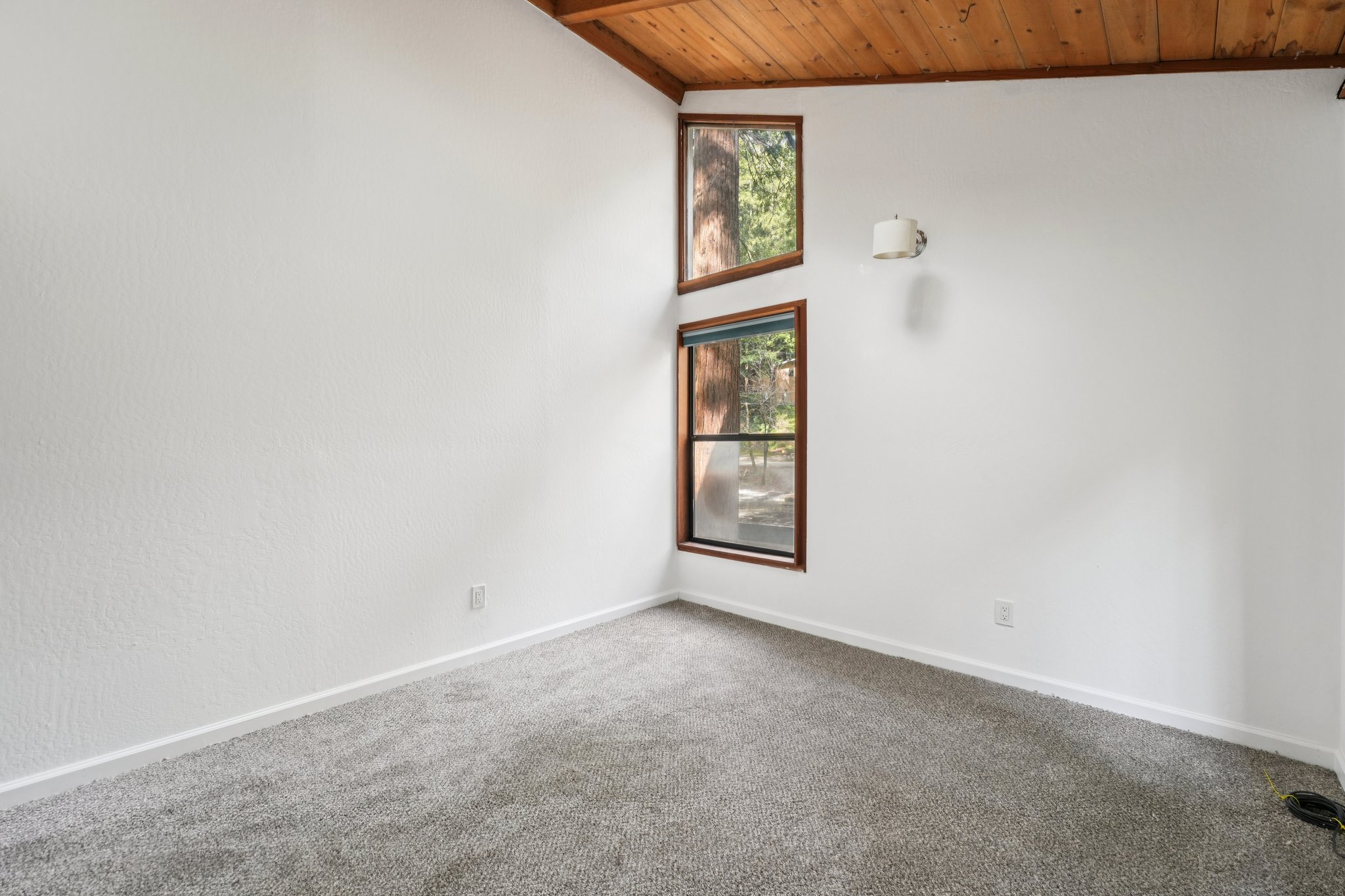 Pescadero Creek Rd-S0202-043.jpg