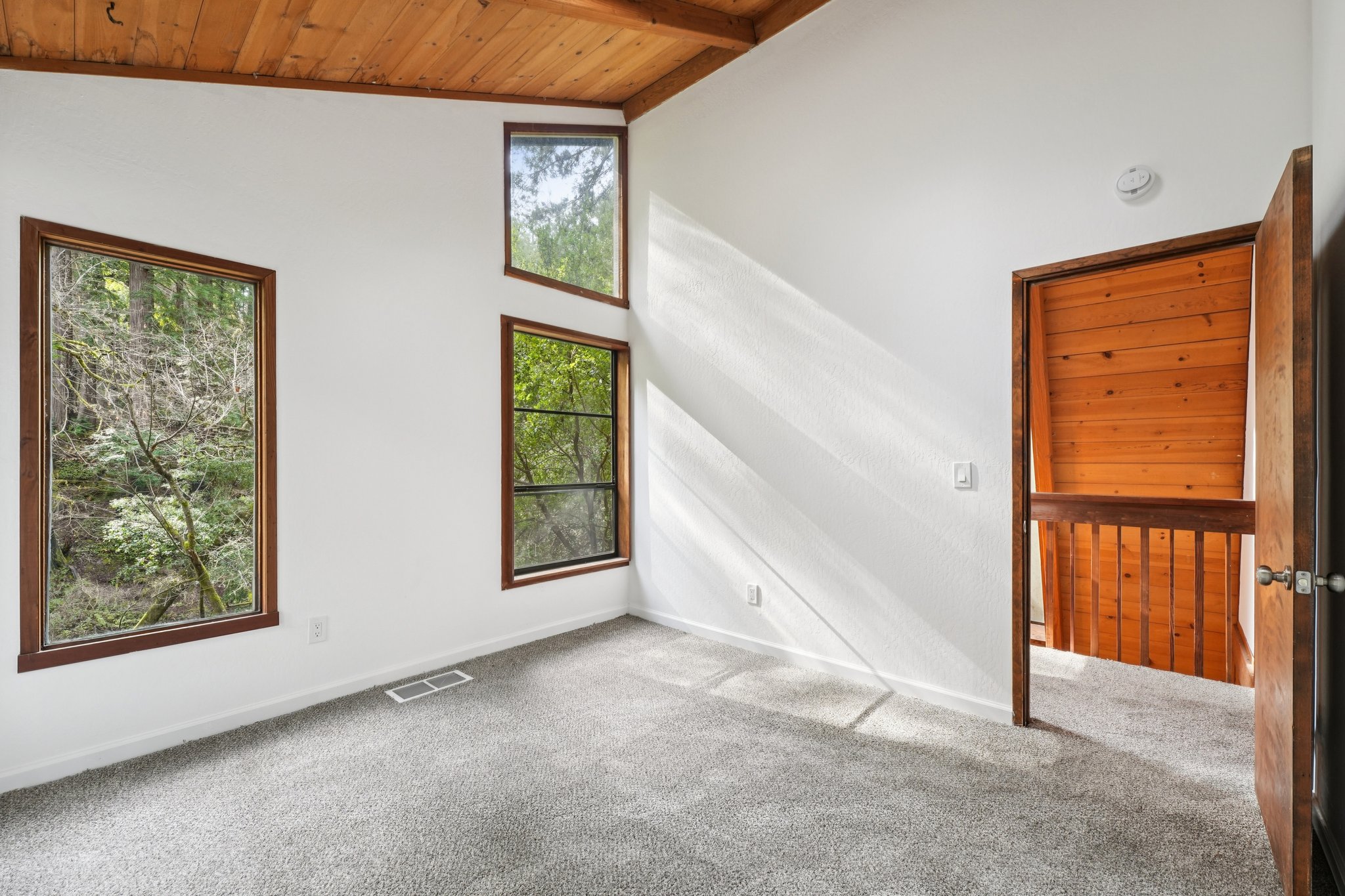 Pescadero Creek Rd-S0202-045.jpg