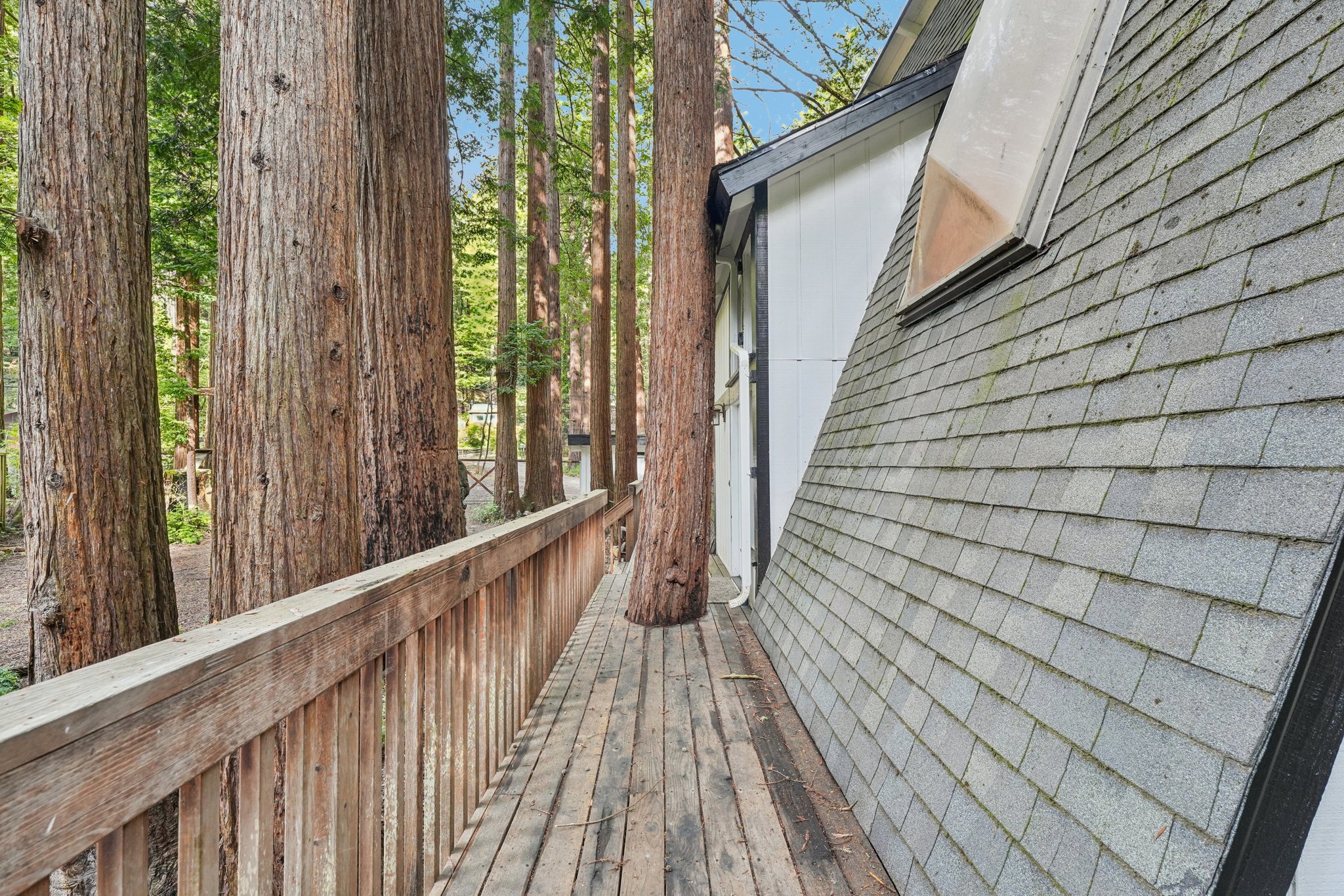 Pescadero Creek Rd-S0202-056.jpg