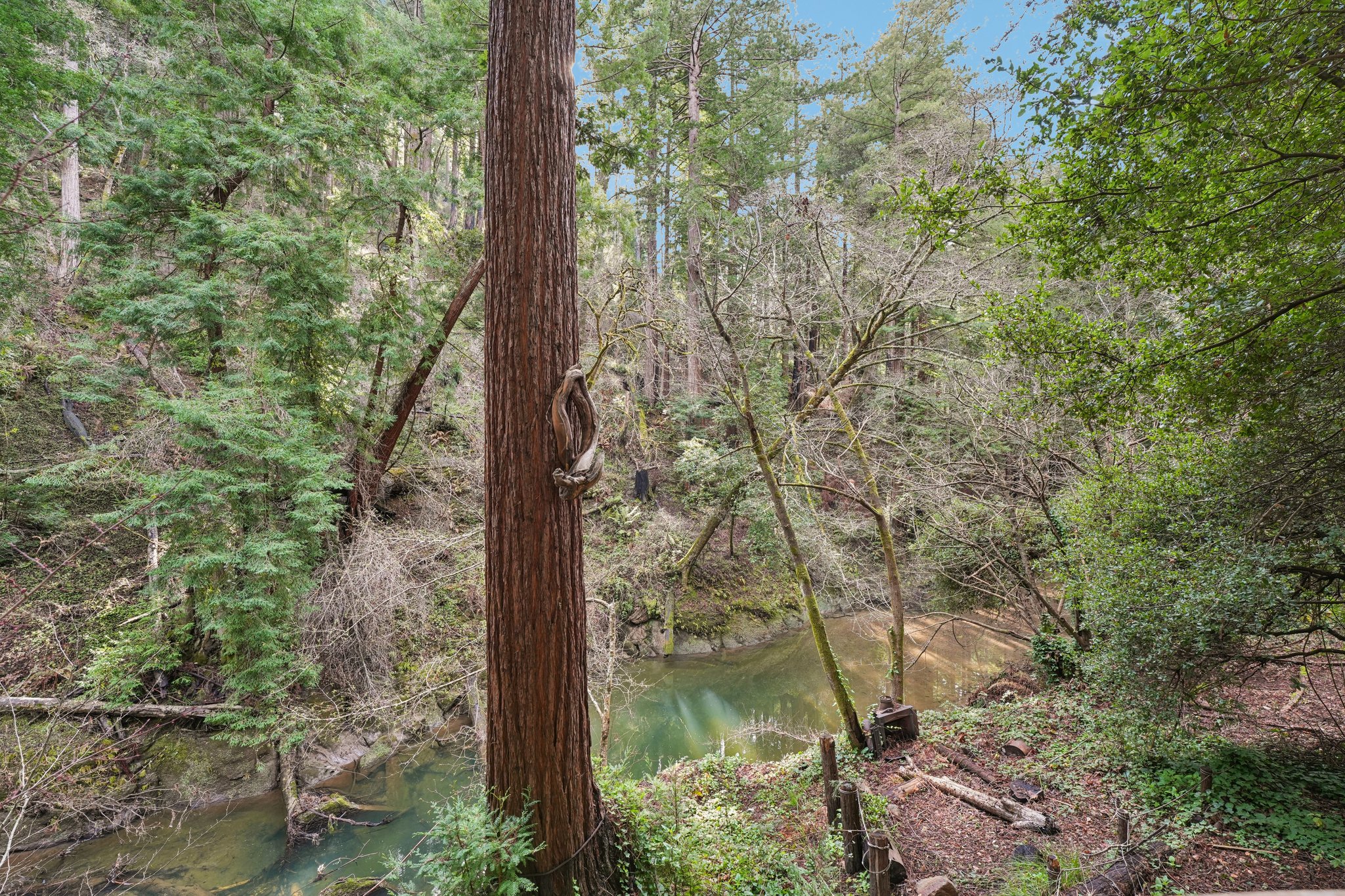 Pescadero Creek Rd-S0202-060.jpg