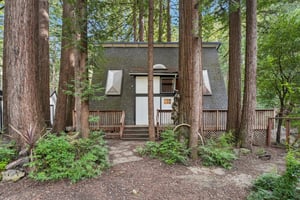 Pescadero Creek Rd-S0202-001.jpg