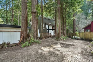 Pescadero Creek Rd-S0202-003.jpg