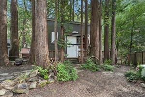 Pescadero Creek Rd-S0202-005.jpg