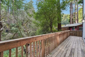 Pescadero Creek Rd-S0202-057.jpg