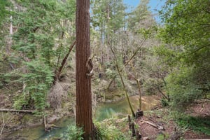 Pescadero Creek Rd-S0202-060.jpg