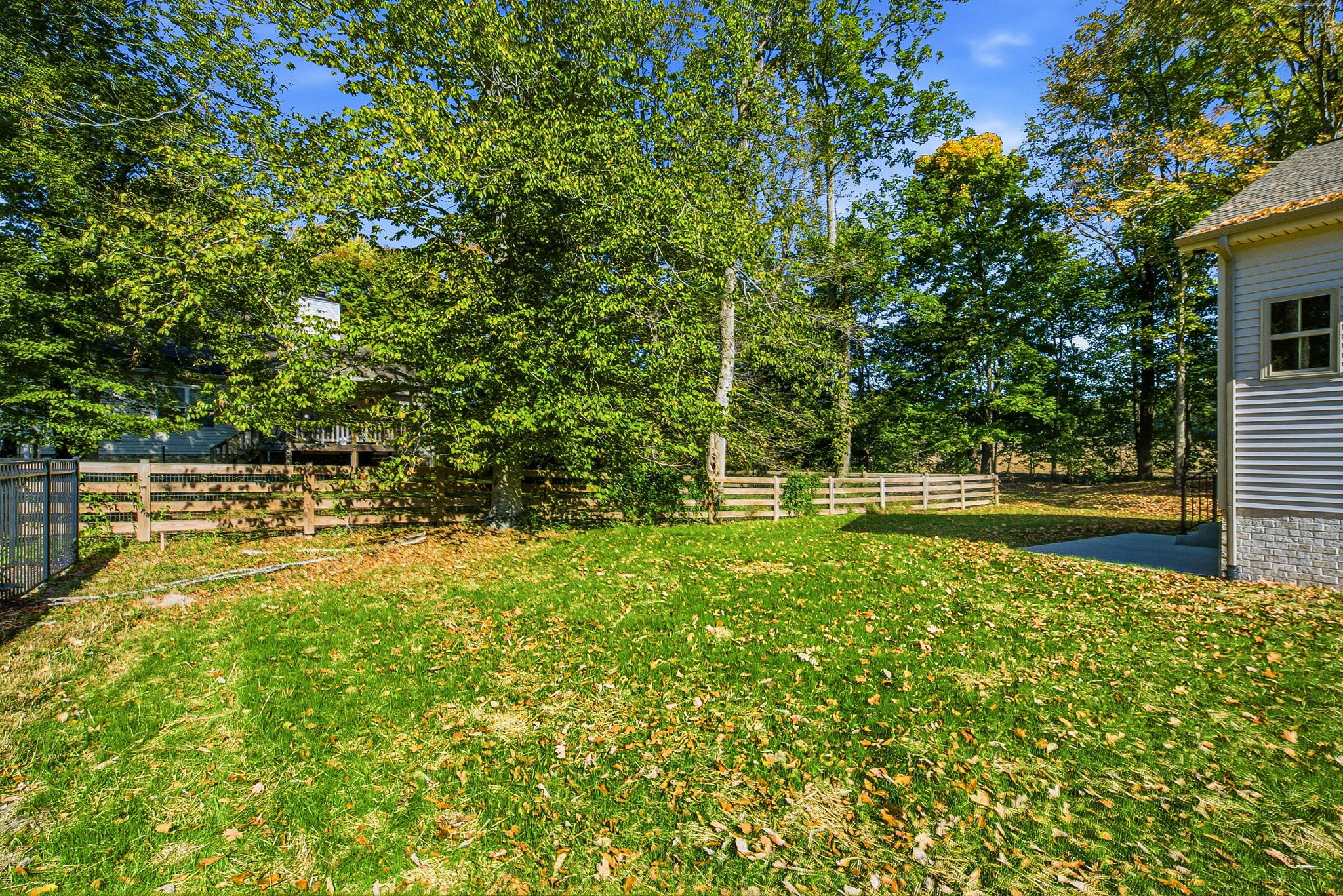  Photo 45