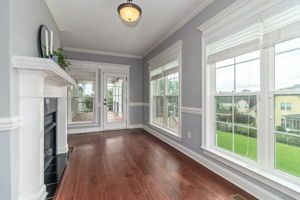 Sun Room W/Fireplace
