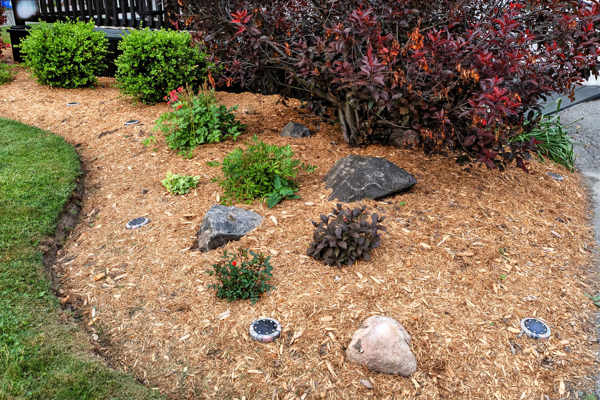  Photo 21
