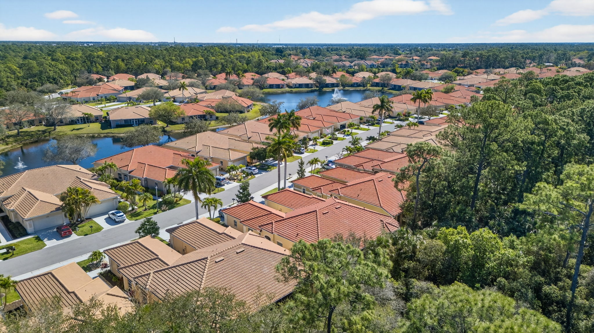 Aerial Rear Exterior 2