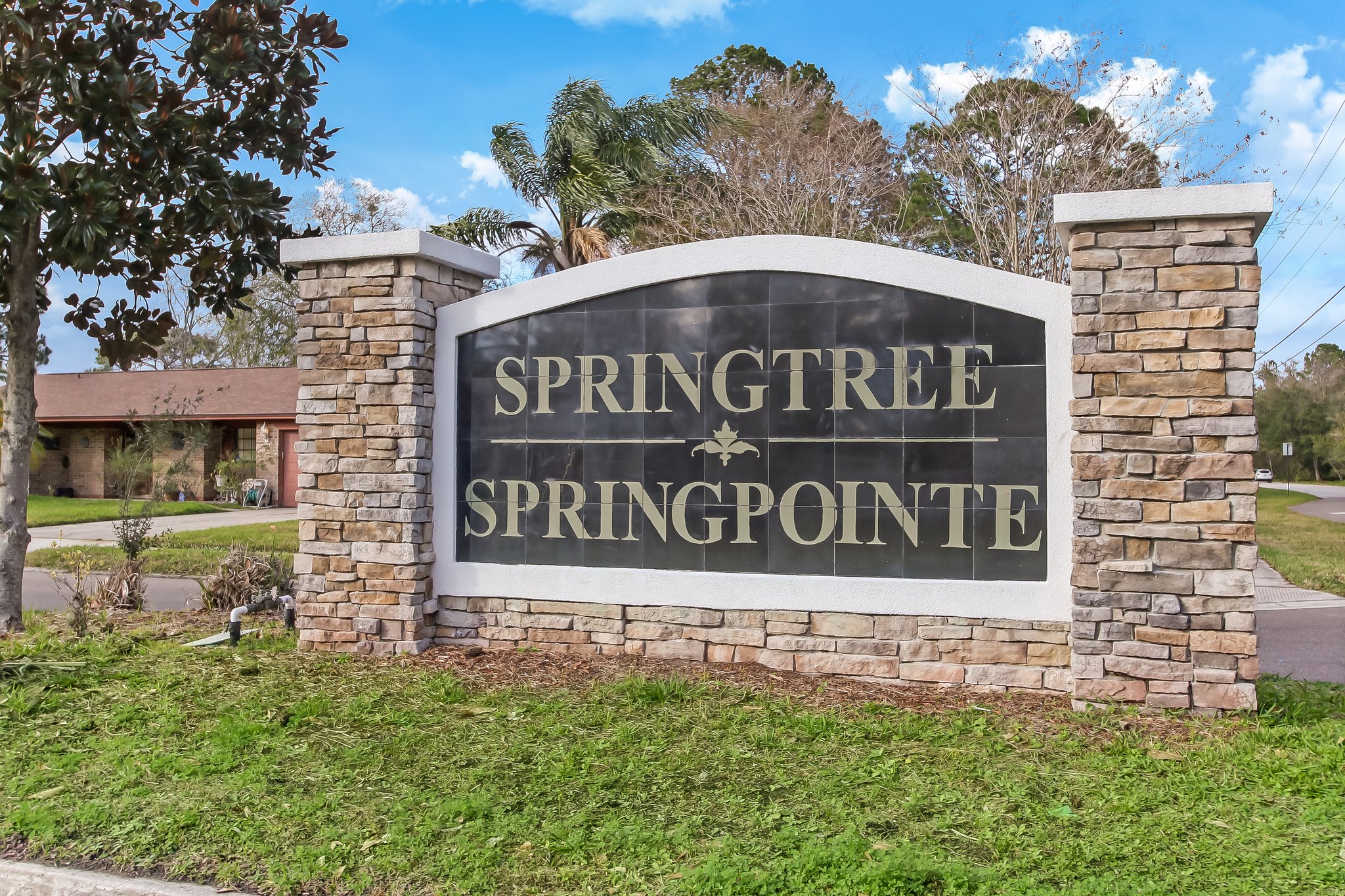 Springtree Springpointe