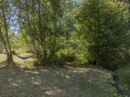  Photo 53