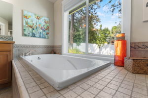 Deep Garden tub with a view!