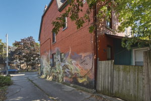  Photo 45