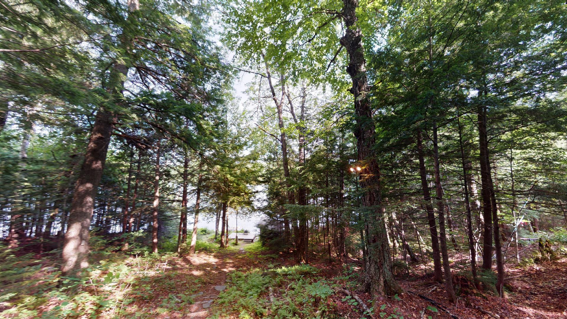  82 Dam Rd, Kingfield, ME 04947, US Photo 7