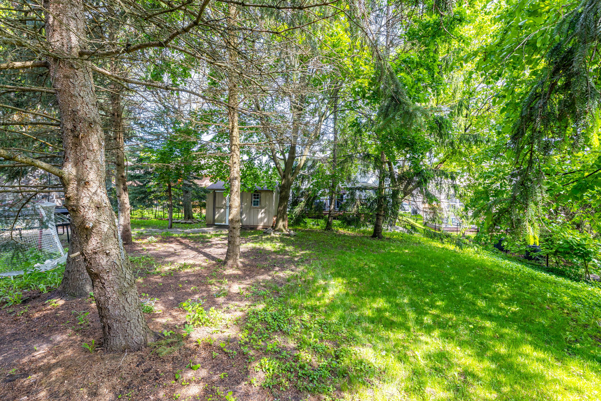 Newmarket property showcase — delivered property photograph 58