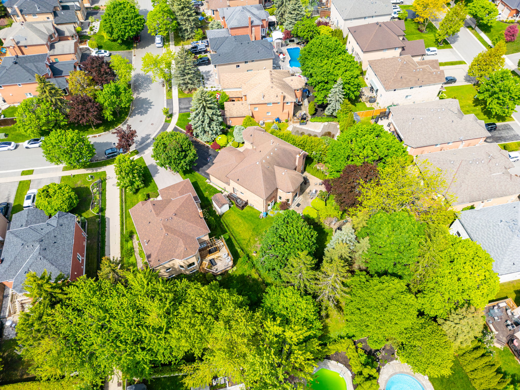 Newmarket property showcase — delivered property photograph 65