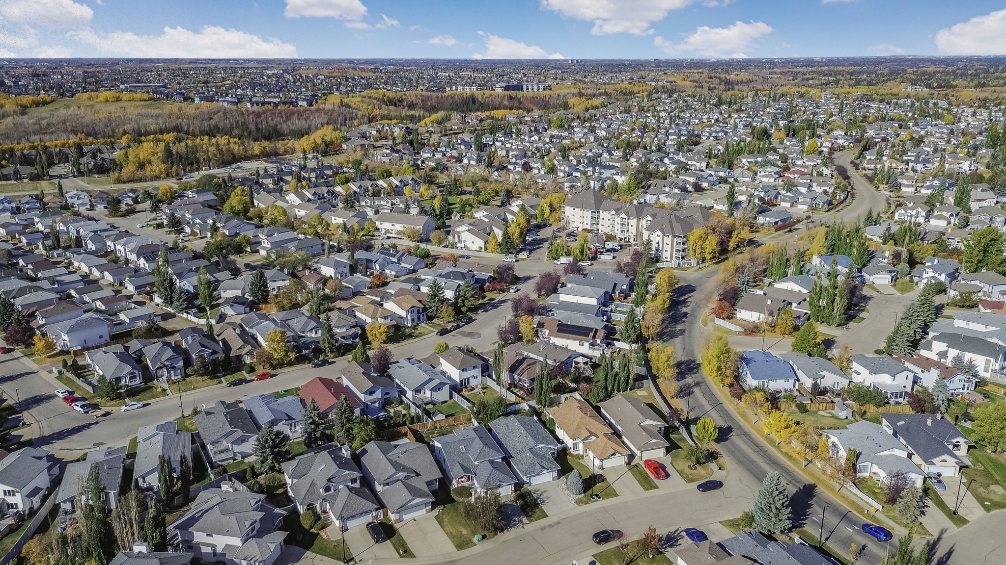 028-12-820.115aStreet-Drone