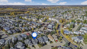 001-12-820.115aStreet-Drone copy