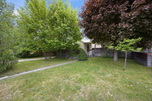  Photo 0