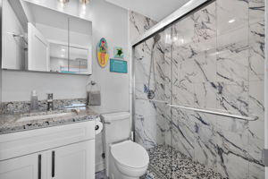 Guest Bathroom 3