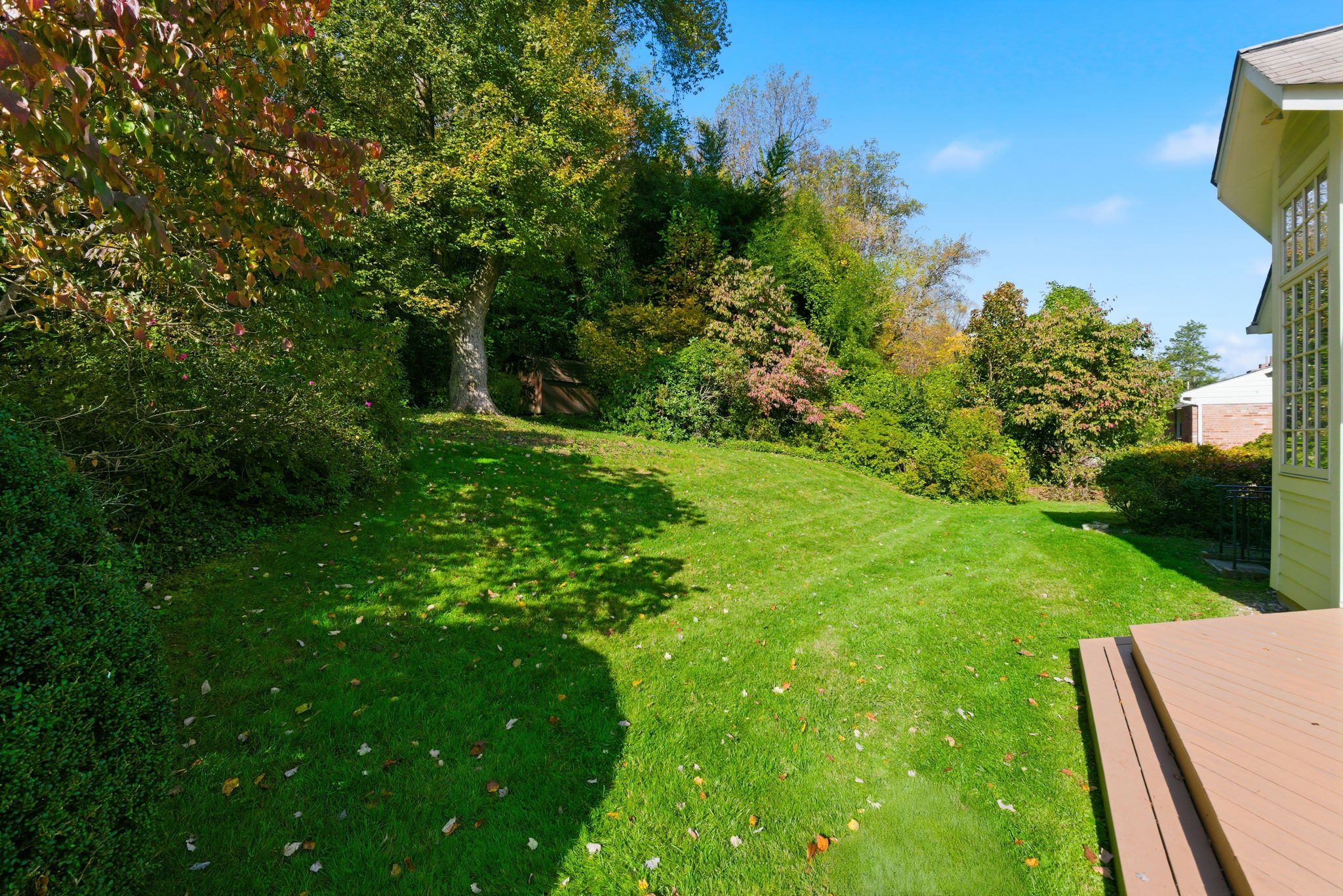 ​ Expansive Rear Yard
