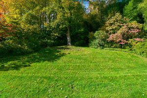 ​ Expansive Rear Yard