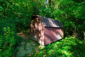 Rear Shed