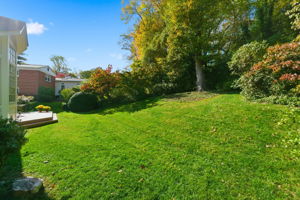 ​ Expansive Rear Yard